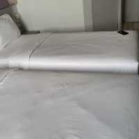 Ibis hotel