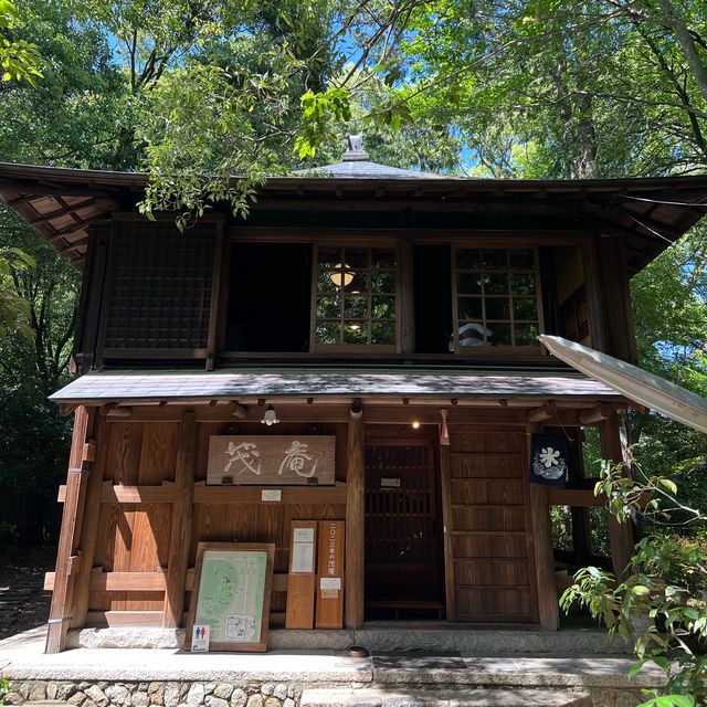 【京都】新緑の季節にピッタリ！山頂の隠れカフェ