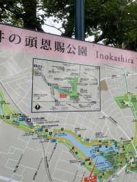 井之頭恩賜公園‼️吉祥寺5分鐘距離🤫市區必去😌