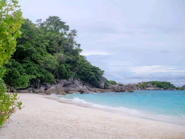 Similan Calling ~