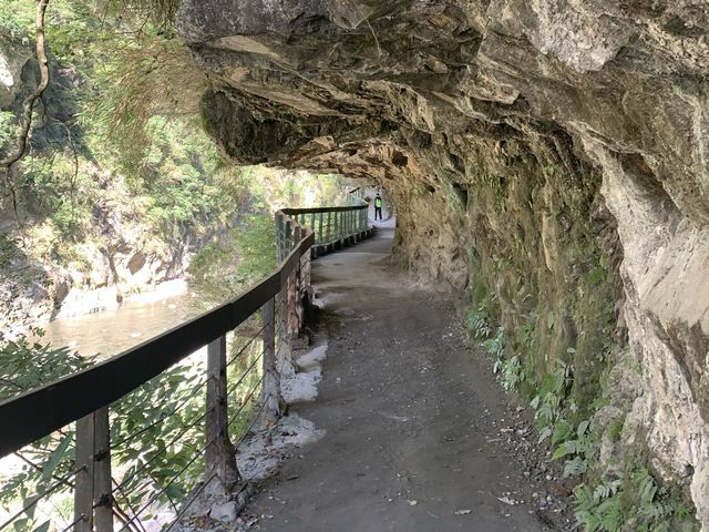 花蓮景點-砂卡礑步道