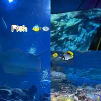 去癲去玩 Ocean Park
