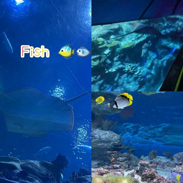 去癲去玩 Ocean Park