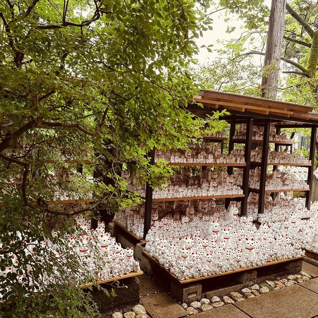招財貓の寺——豪德寺🐈‍⬛😸