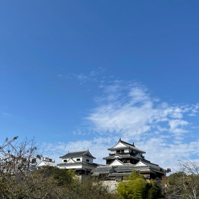松山城にぜひ！