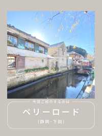 【下田】わんこと行けるインスタ映えスポット🫧