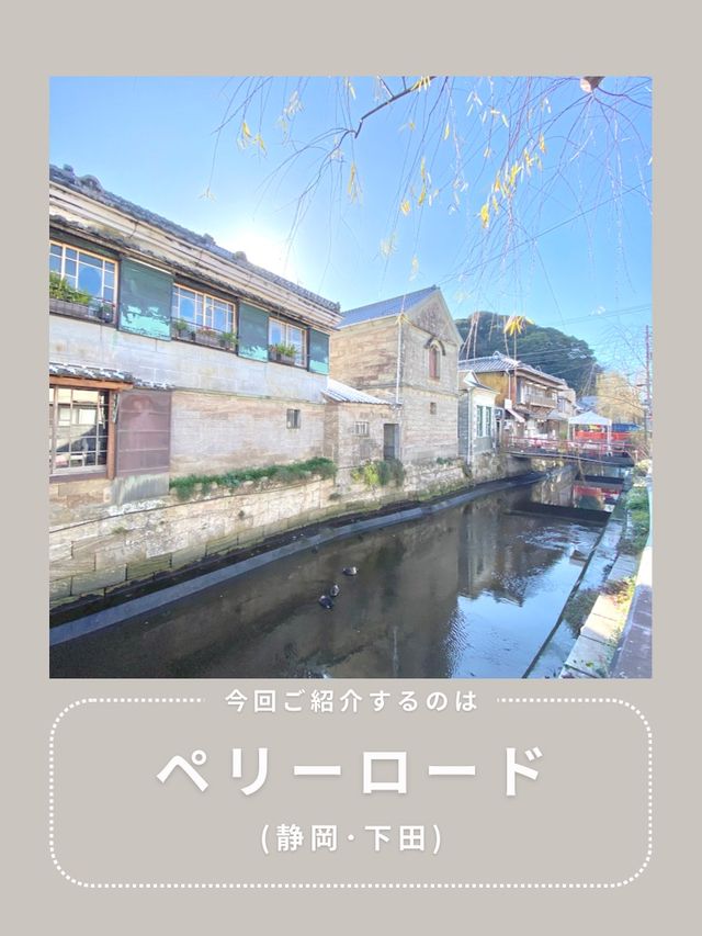 【下田】わんこと行けるインスタ映えスポット🫧