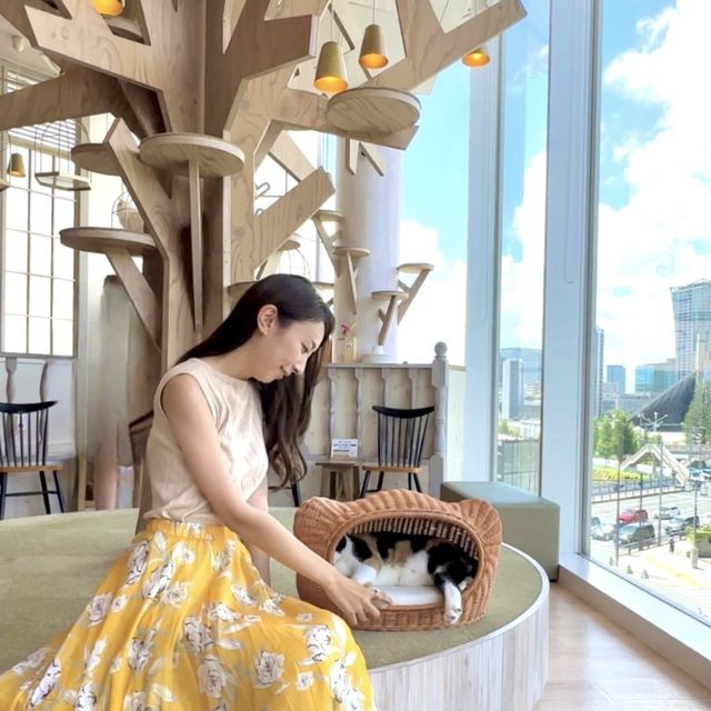 📍猫カフェMOCHA原宿店/東京