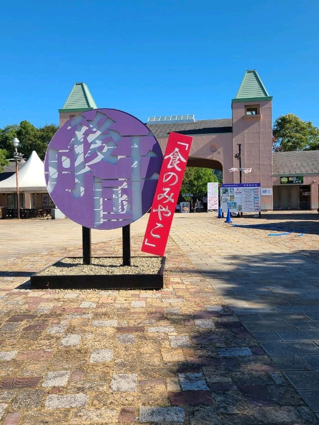 【京都】道の駅丹後王国を散策