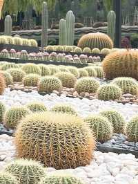 สวนนงนุช พัทยา