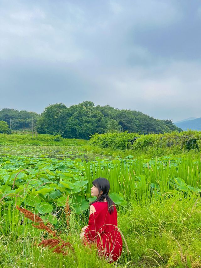 푸릇한 자연속에서 힐링한 다산생태공원💚