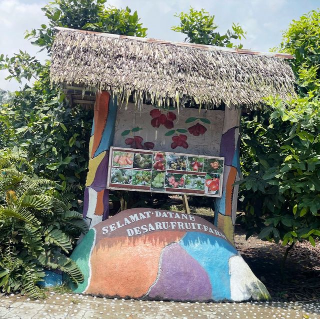 Exploring biggest Fruit Farm in Desaru Johor