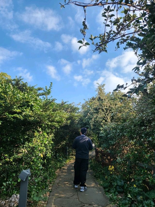 📸제주여행, 한반도 포토존이 있는 남원 "큰엉해안경승지"📸