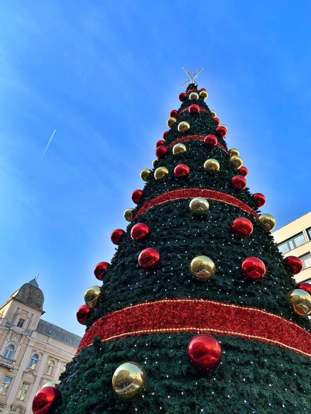 🇭🇺Hungarian Christmas in Budapest🇭🇺