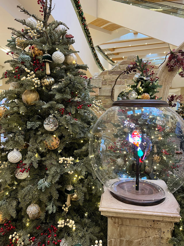 太古廣場😝全港最令聖誕🎄打卡位😳夢幻森林