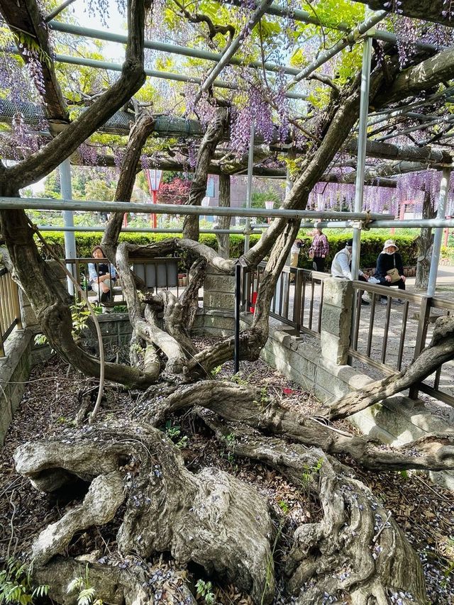 【埼玉県/箭弓稲荷神社】2023年行ってよかった！埼玉県の神社①