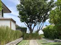 ร้านอาหารวิวสวยในหิวหิน Oceanside beach club