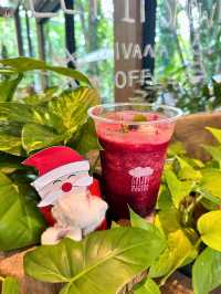 MiVana Coffee กาแฟอินทรีย์รักษาป่า 