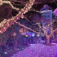 【神奈川県/江の島　関東三大イルミネーション”湘南の宝石💎”】
