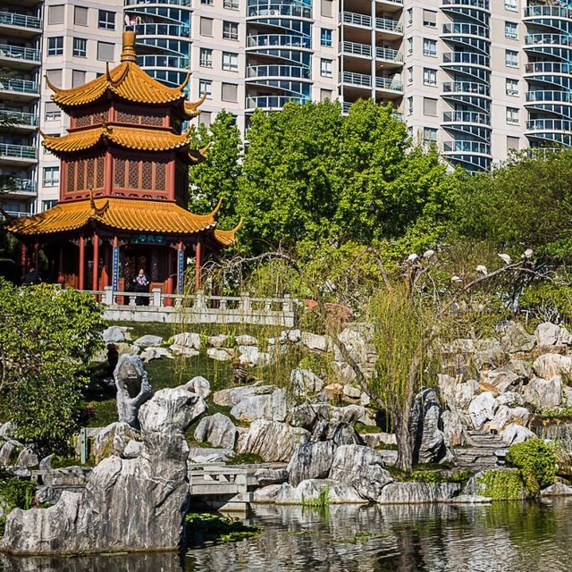 Sydney Chinese Garden of Friendship 