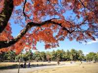 พิพิธภัณฑ์แห่งชาติจังหวัดนารา