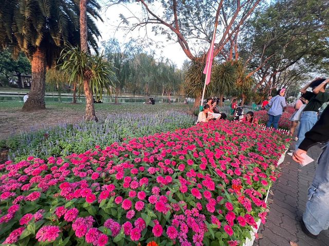 🌼เทศกาลดอกไม้ สวนหลวงร.9 กรุงเทพ🌺