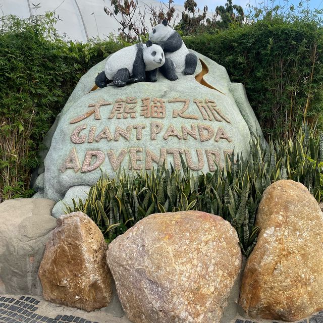 【香港】おすすめスポット🇭🇰