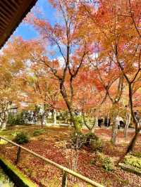 《不能錯過的圓光寺》