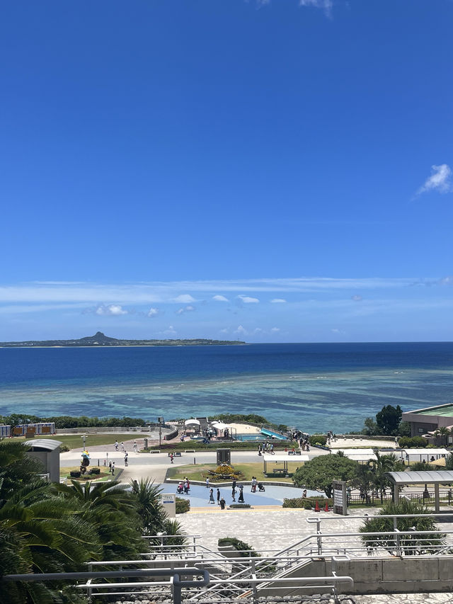✨ 全亞洲最大的「美麗海水族館」✨