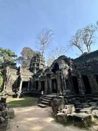 Ta Prohm Temple_in Tomb Rider Movie