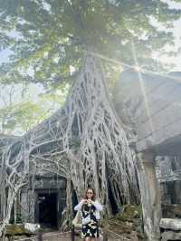 Ta Prohm Temple_in Tomb Rider Movie