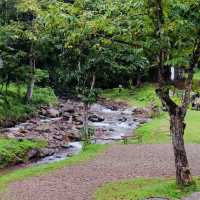 หลงเขา บ่อเกลือ น่าน-Lhong Khao