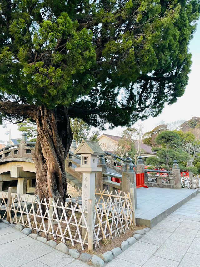 【神奈川県】美しき下拝殿　鶴岡八幡宮の舞殿