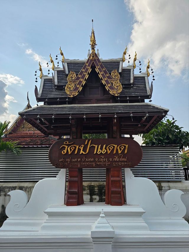 📍"วัดป่าแดด“วัดดังที่สายมูต้องไม่พลาด!!!