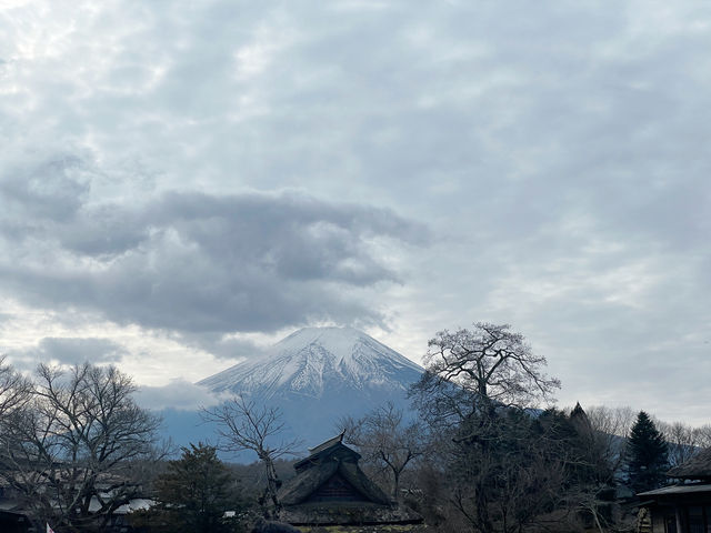 ชมวิวฟูจิหน้าหนาวที่หมู่บ้านน้ำใส 🗻