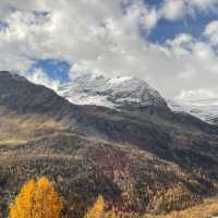The Beautiful Swiss Alps