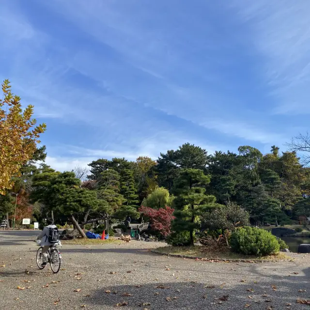 【名古屋鶴舞公園】免費入場，2024日本旅行必去！