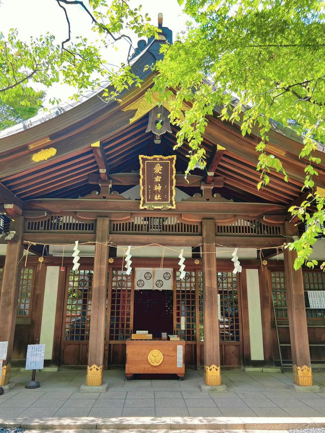 【東京】出世神社の最高峰✨猫に会えたらラッキー🍀金運アップな愛宕神社⛩