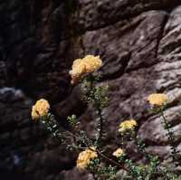 grampians national park 