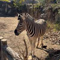 親子之選～東山動植物園 