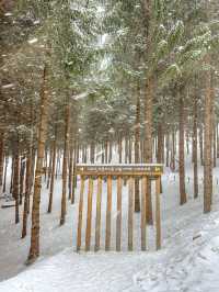 여기가 혹시 겨울왕국?☃️❄️