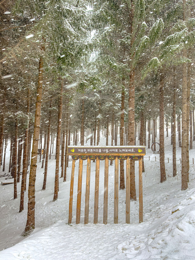 여기가 혹시 겨울왕국?☃️❄️