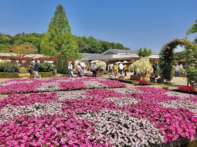 Ashikaga Flower Park 