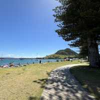 Captivated by Tauranga’s beauty 