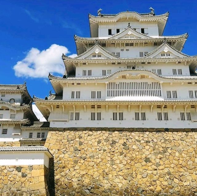 Cherry 🌸 blossoms in Himeji Castle