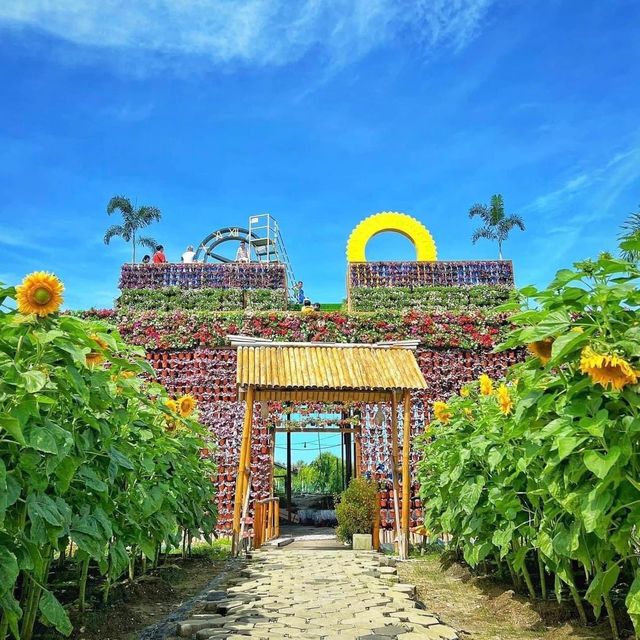 Sunflower Garden
