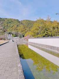 【岩国】春はのんびり気持ちいい吉香公園へ🌸