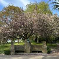 City park in Nottingham, Arboretum