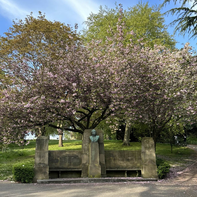 City park in Nottingham, Arboretum