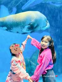 #海洋公園x小王子